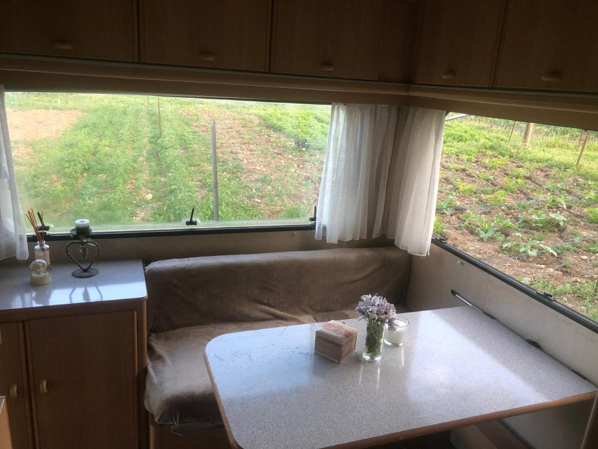 La Ferme De Rotani Otel Aléria Dış mekan fotoğraf