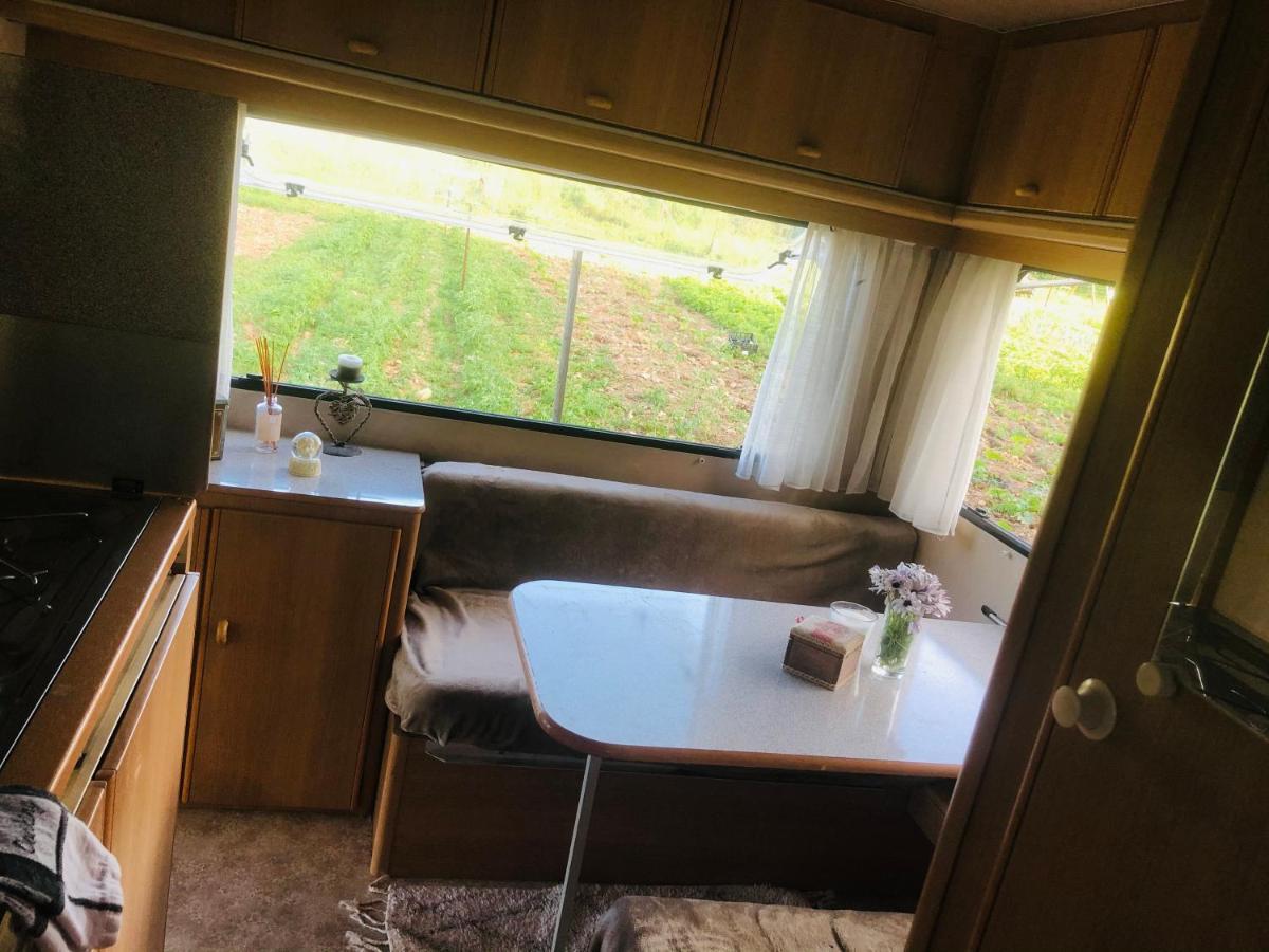 La Ferme De Rotani Otel Aléria Dış mekan fotoğraf