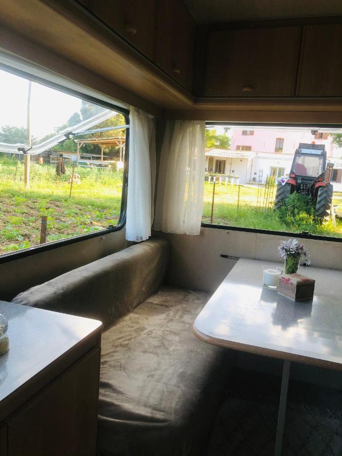La Ferme De Rotani Otel Aléria Dış mekan fotoğraf