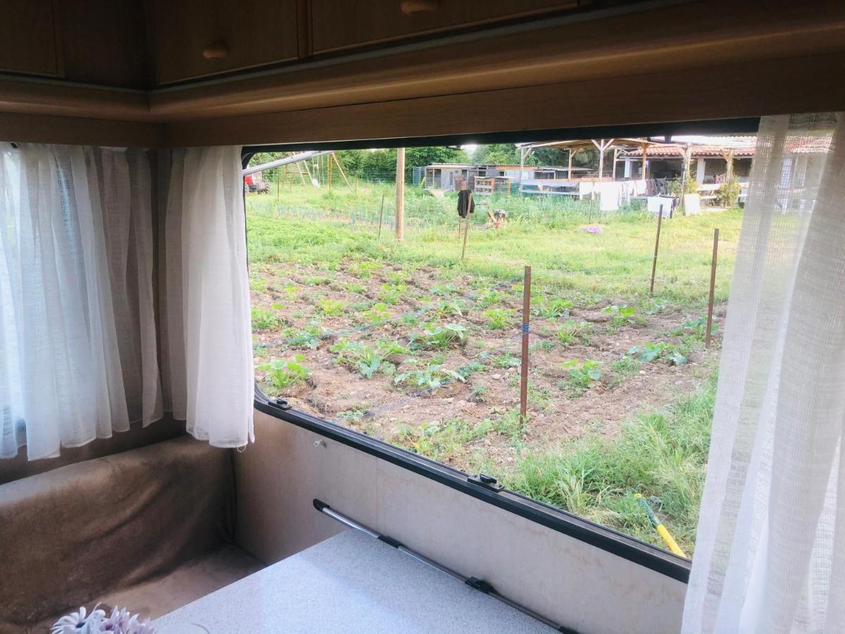 La Ferme De Rotani Otel Aléria Dış mekan fotoğraf