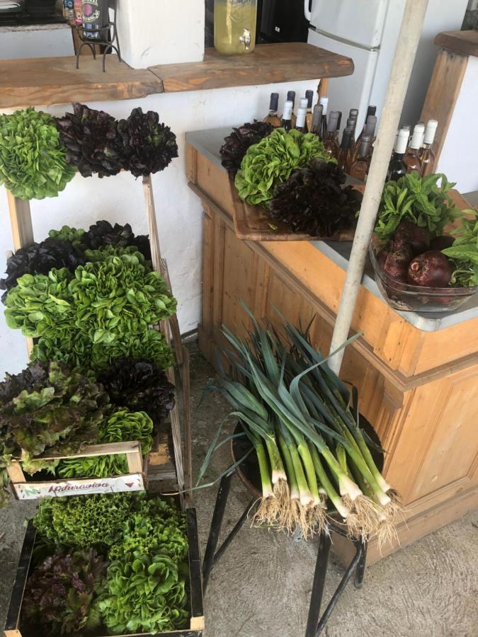 La Ferme De Rotani Otel Aléria Dış mekan fotoğraf